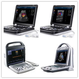 徐州凯信电子设备邀您共襄盛举 2019第四届江苏畜牧业博览会